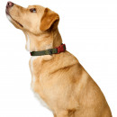 Hunter Halsung Havanna Gr&uuml;n/Orange