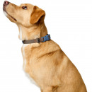 Hunter Halsung Havanna Taupe/Rauchblau