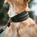 Hunter Ergonomisches Halsband Arvika Schwarz/Cognac