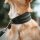 Hunter Ergonomisches Halsband Arvika Schwarz/Cognac