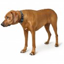 Hunter Halsband BioThane&reg; x Leder Rauchblau/Schwarz