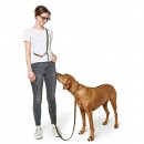 Hunter Halsband BioThane&reg; x Leder Khaki/Orange