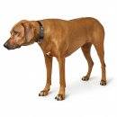 Hunter Halsband BioThane&reg; x Leder Schwarz/Grau