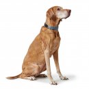 Hunter Halsung Wolmar BioThane&reg; x Leder Alu-Strong Rauchblau/Schwarz