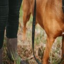 Hunter Hunde Verstellbare F&uuml;hrleine Wolmar BioThane&reg; x Leder Schwarz/Grau