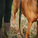 Hunter Stufenlos verstellbare F&uuml;hrleine Wolmar BioThane&reg; x Leder Schwarz/Grau