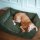 Hunter Orthopädisches/Ergonomisches Hundesofa Corbie Grün