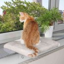 Trixie Katzen Liegeplatte f&uuml;r Fensterbank