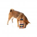 FuzzYARD Hundespielzeug Curbside Carl