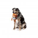 FuzzYARD Hundespielzeug Telemarketer Tom