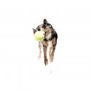 FuzzYARD Hundespielzeug Tennis Ball