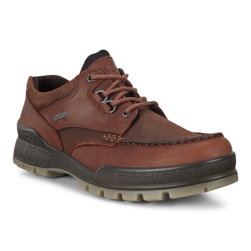 Ecco Herren Wanderschuh Track 25 Low GTX Braun fellby.de