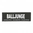 Julius-K9 Balljunge Logo, 1 Paar