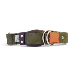 WowWow Hundehalsband mit integrierter Leine Dunkeloliv