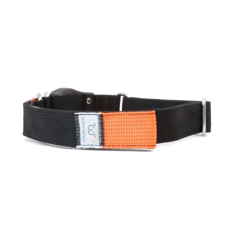 WowWow Hundehalsband mit integrierter Leine Schwarz