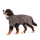 Lill`s Dog Hundebademantel aus Bio-Baumwolle Steingrau