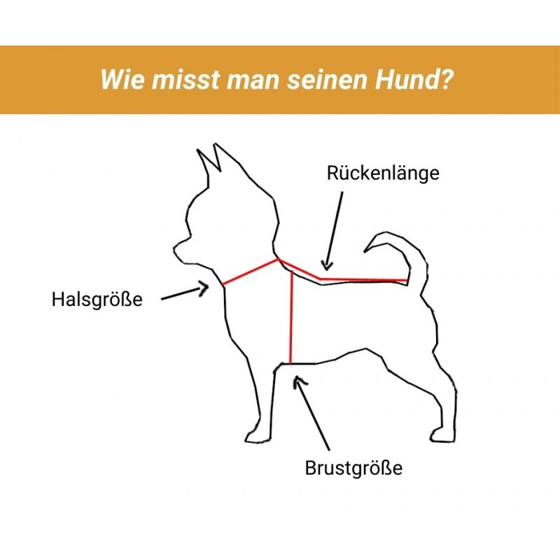 Wouapy Hundegeschirr Soft XXS