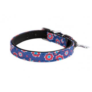 Wouapy Hundehalsband PetMini 20 mm x 40 cm