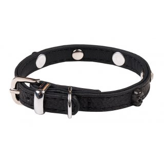 Wouapy Hundehalsband Rock PetMini 10 mm x 20 cm