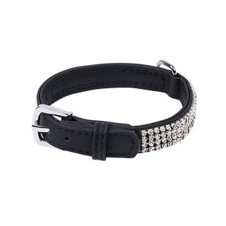 Wouapy Hundehalsband Strass PetMini 10 mm x 20 cm