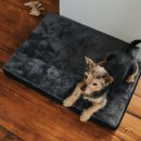 Hunter Orthop&auml;dische Hundematte Tirano Schwarz M 80 x 60 cm