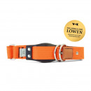 WowWow Hundehalsband mit integrierter Leine Orange 33-37 cm Halsumfang