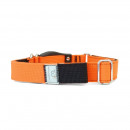 WowWow Hundehalsband mit integrierter Leine Orange 33-37 cm Halsumfang