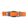 WowWow Hundehalsband mit integrierter Leine Orange 33-37 cm Halsumfang