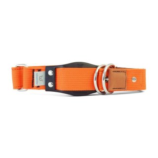 WowWow Hundehalsband mit integrierter Leine Orange 46-66 cm Halsumfang