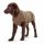 Hunter Hundepullover Malmö Beige 40 cm