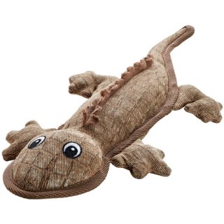 Salamander