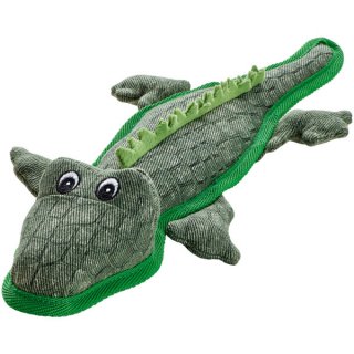 Alligator