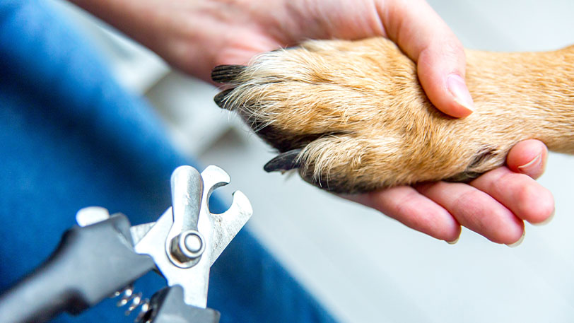 Ein Bild, das Person, drinnen, Hand, Werkzeug enthält.Automatisch generierte Beschreibung