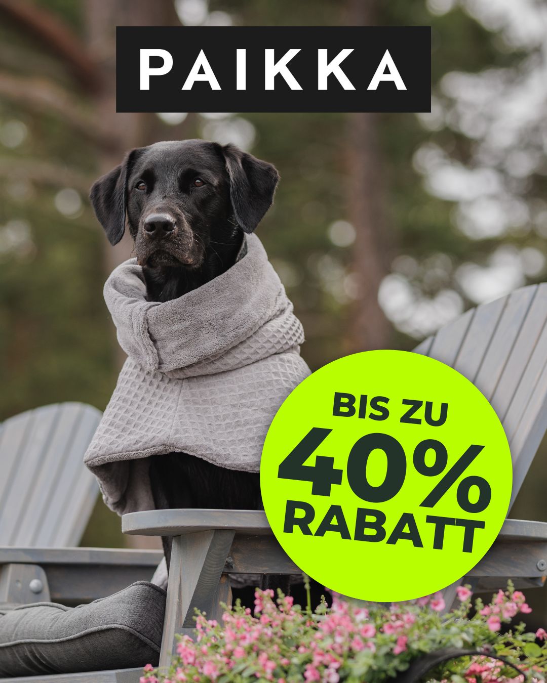 Paikka Produkte bei Fellby