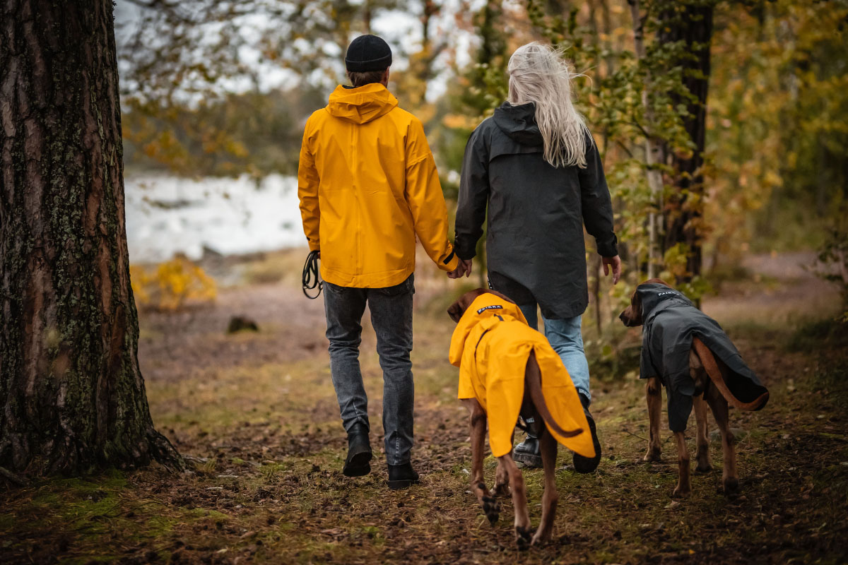 Spaziergang mit Hund im Regen