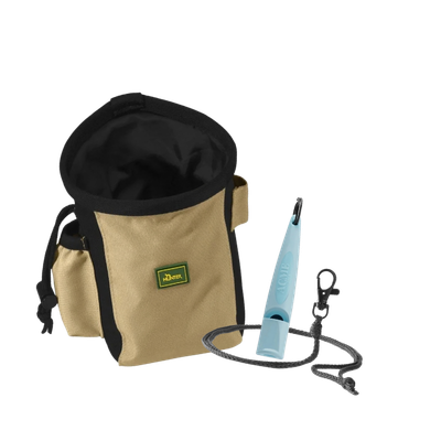 Hundetraining und Nasenarbeit unterwegs