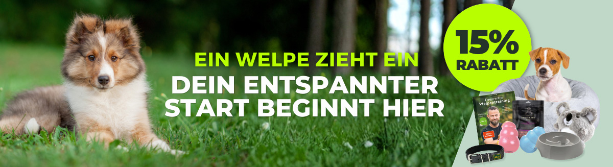 Ein Welpe zieht ein – alles für die Welpen Erstausstattung bei Fellby