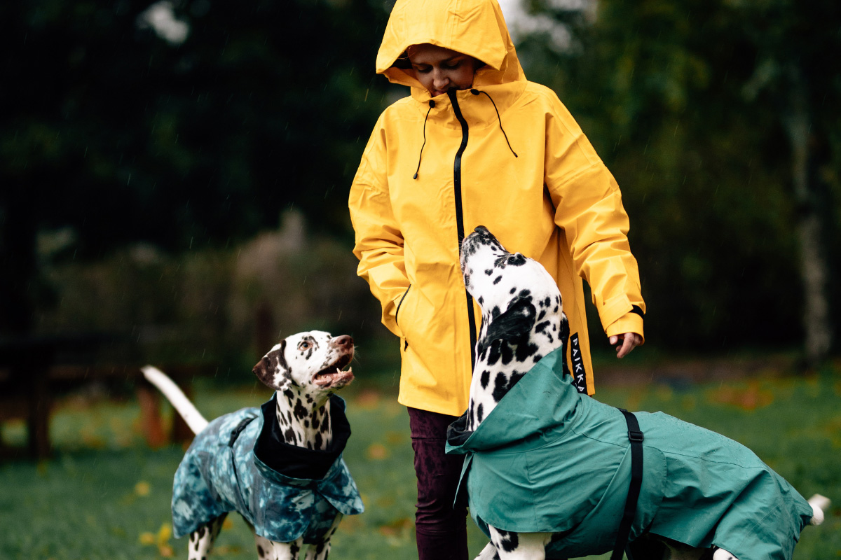 Spaziergang mit Hund im Regen mit Regenmantel