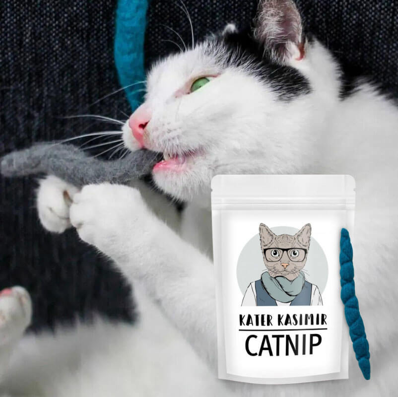 Catnip.jpg