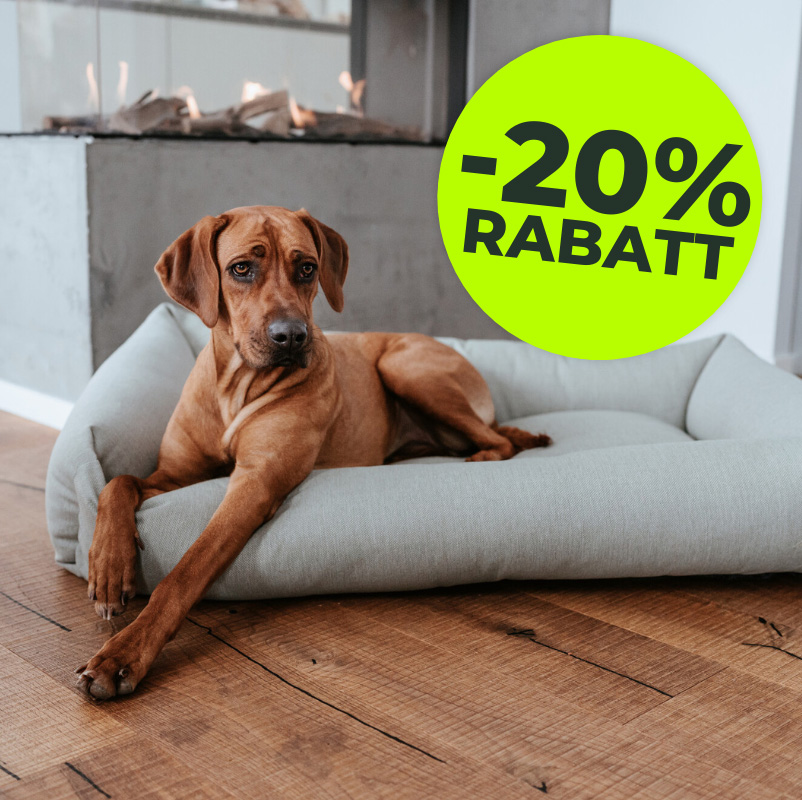 Hundebetten_Grid_Aktion2.jpg