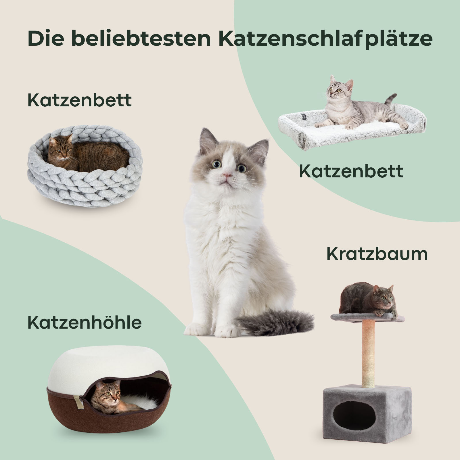 Übersicht verschiedener Katzenschlafplätze