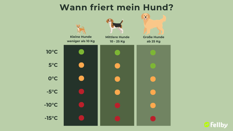 wannfriertmeinhund.png