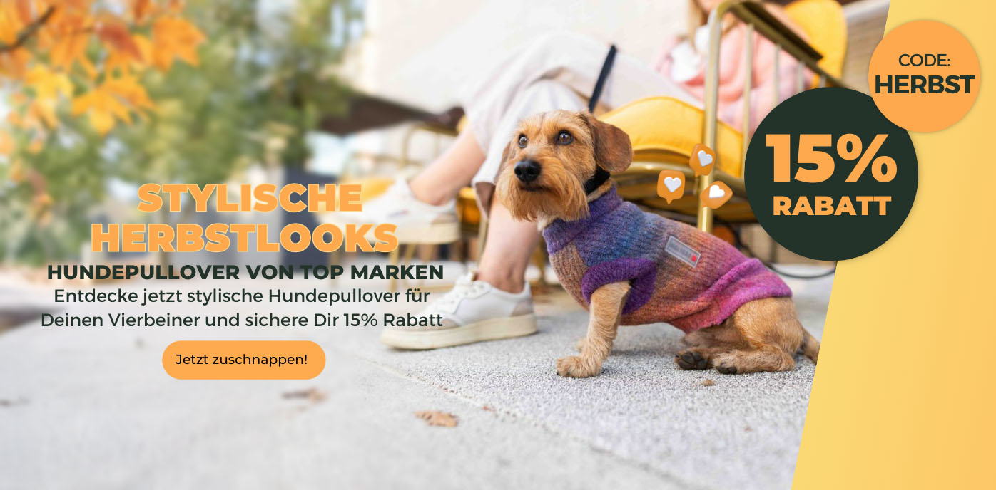 Hundepullover_Start_desktop.jpg