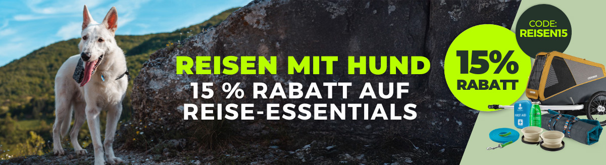 Reisen_LP_.jpg