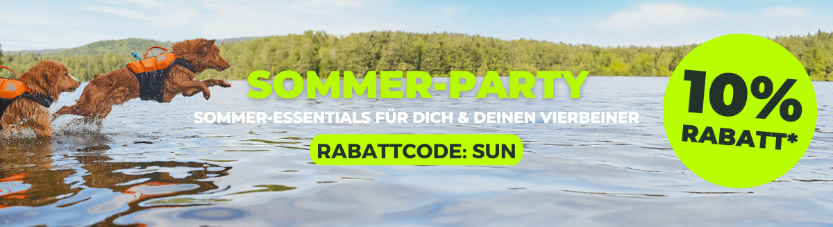 Sommerparty_Markenseite_Desktop12.png