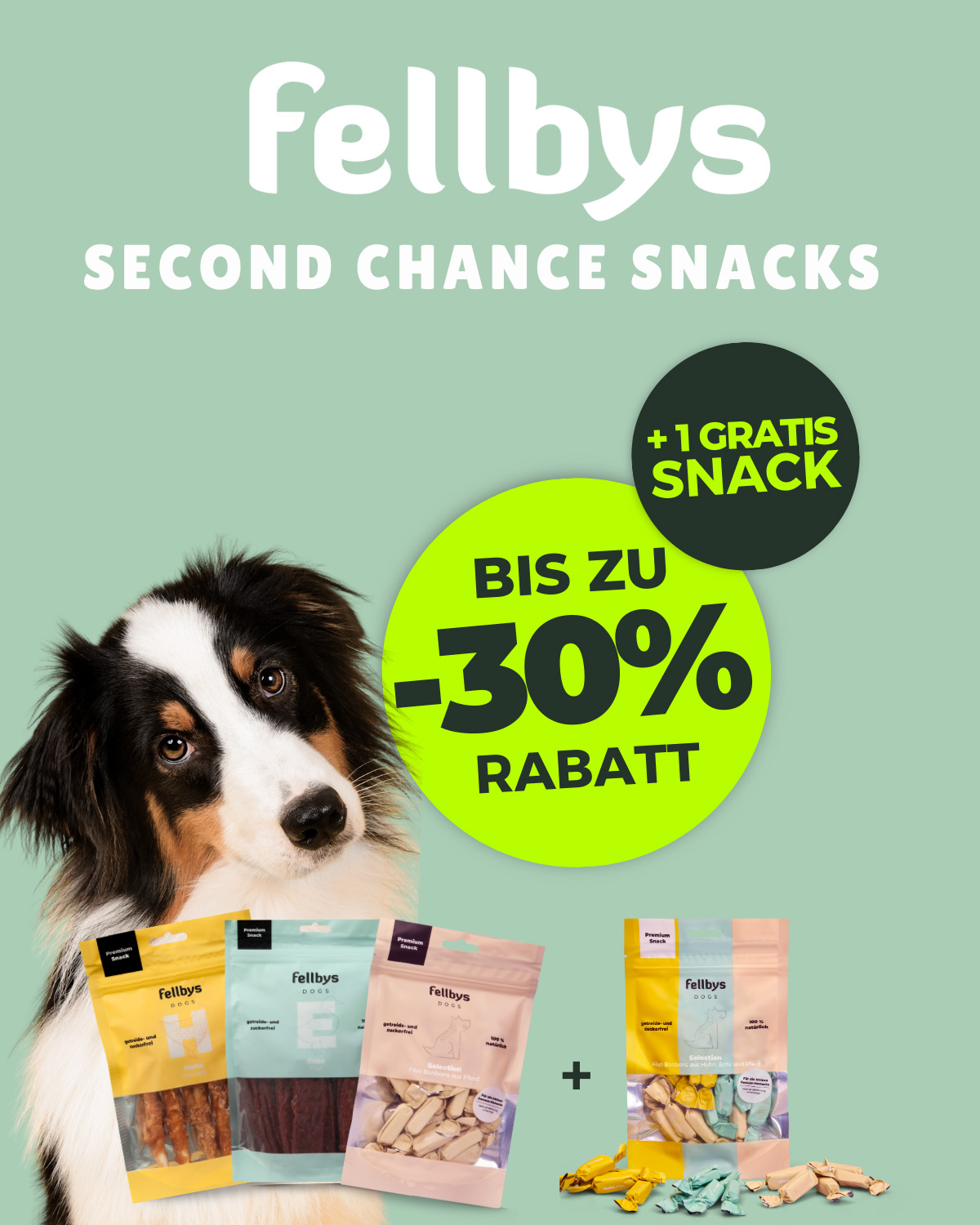 Fellbys Second Chance Snacks