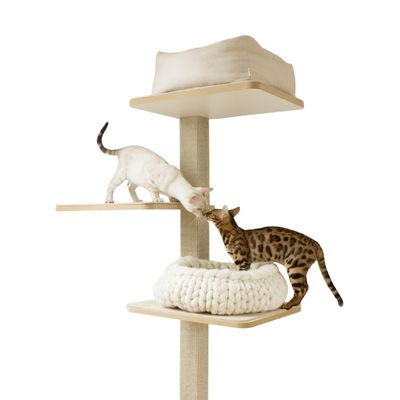 Kratzbäume für Katzen