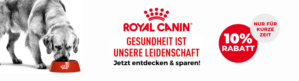 Marke_RC_Dog.jpg