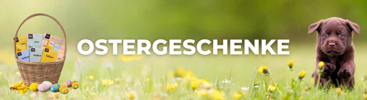 Ostergeschenke für Zwei- & Vierbeiner – Highlights für Mensch, Hund & Katze