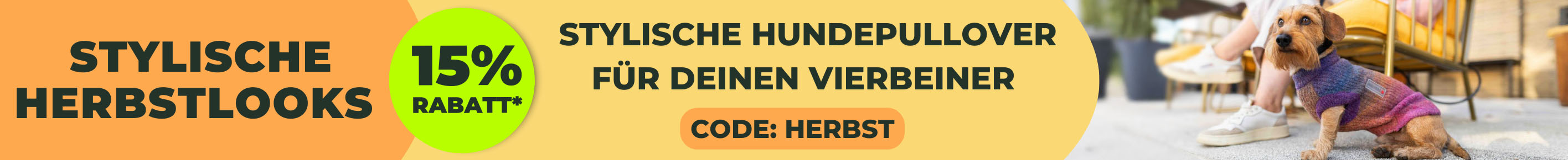 Slider_hundepullover.jpg